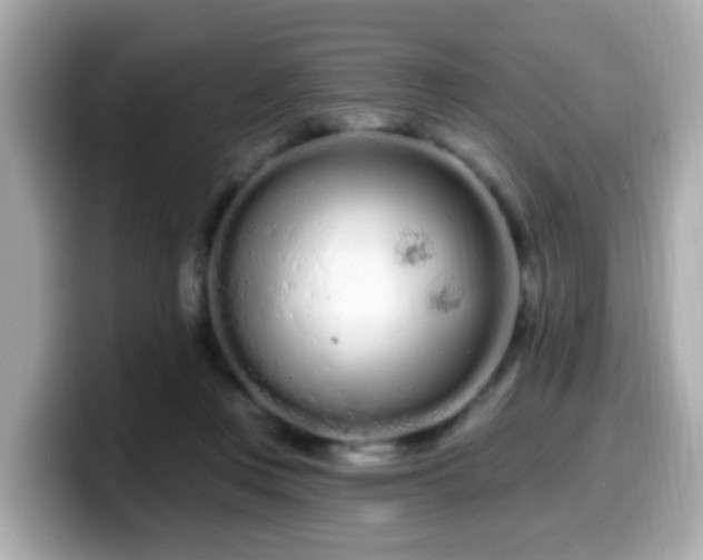 X0000099560359200805231517