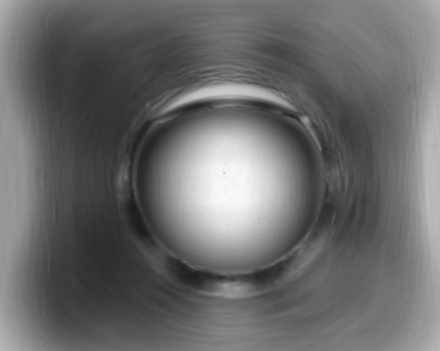 X0000099560360200805231517