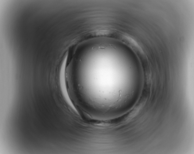 X0000099560362200805231517