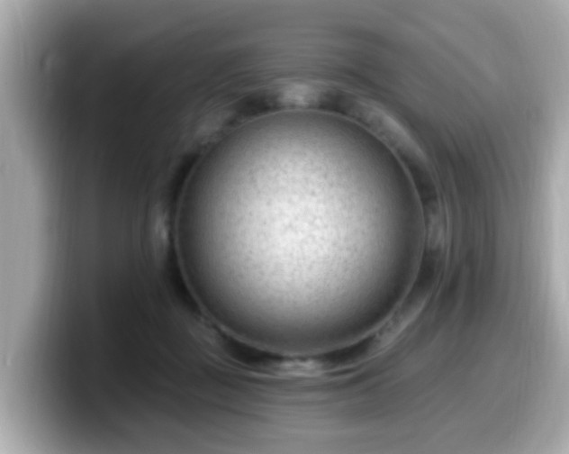 X0000099560363200805231517