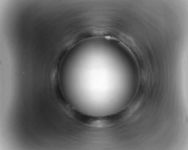 X0000099560364200805231517