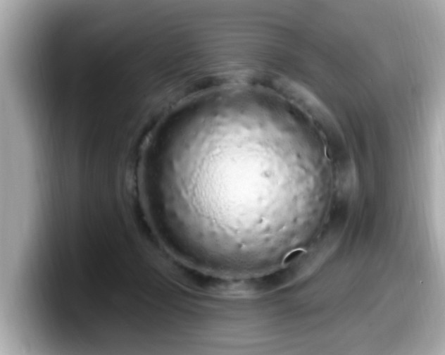 X0000099560365200805231517