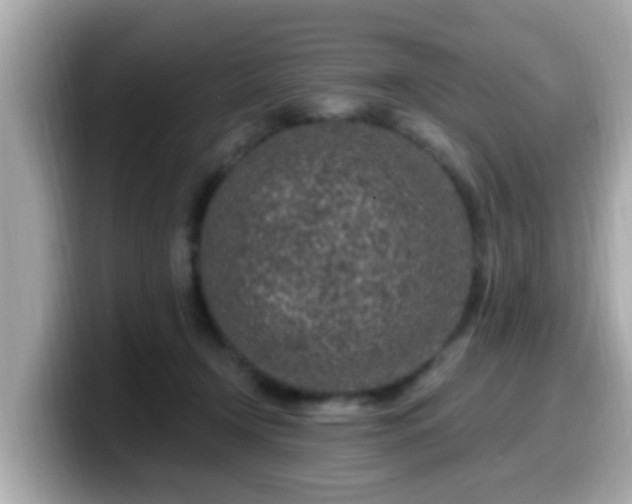 X0000099560366200805231517