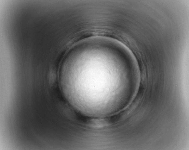 X0000099560367200805231517