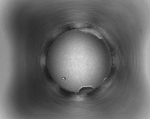 X0000099560368200805231517