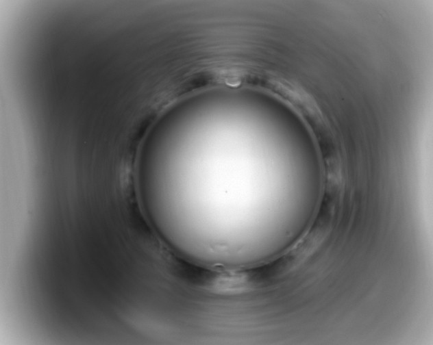 X0000099560369200805231517