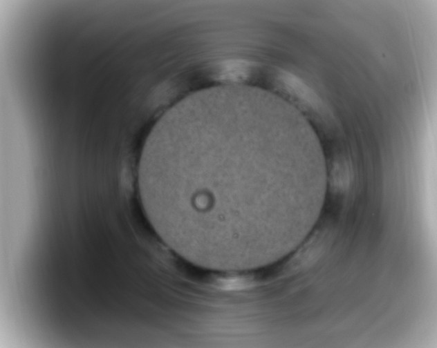 X0000099560370200805231517