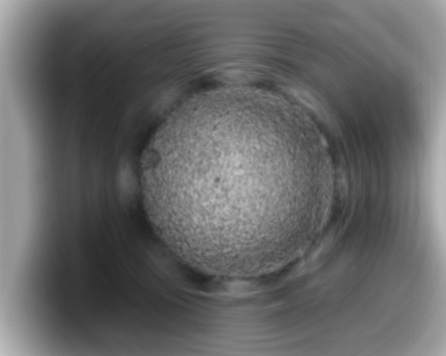 X0000099560371200805231517