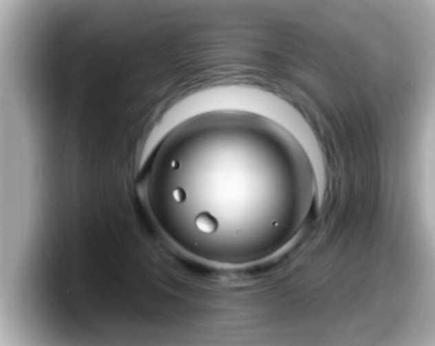 X0000099560372200805231517