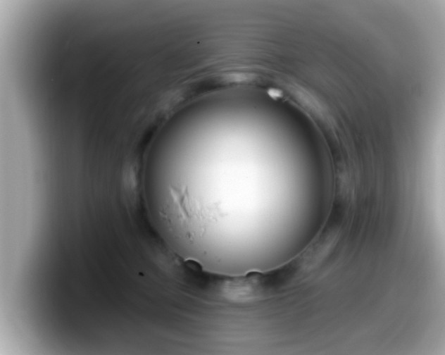 X0000099560373200805231517