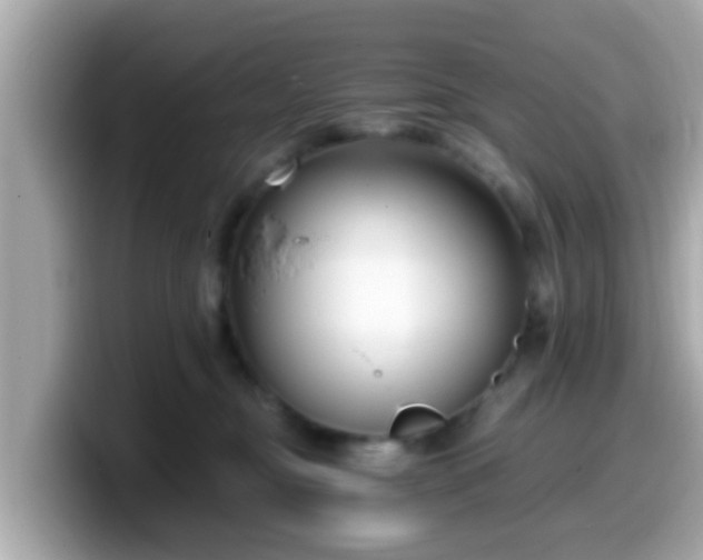 X0000099560374200805231517