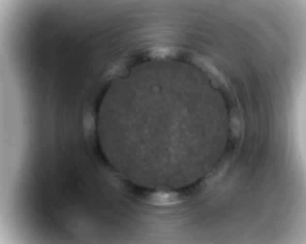 X0000099560375200805231517