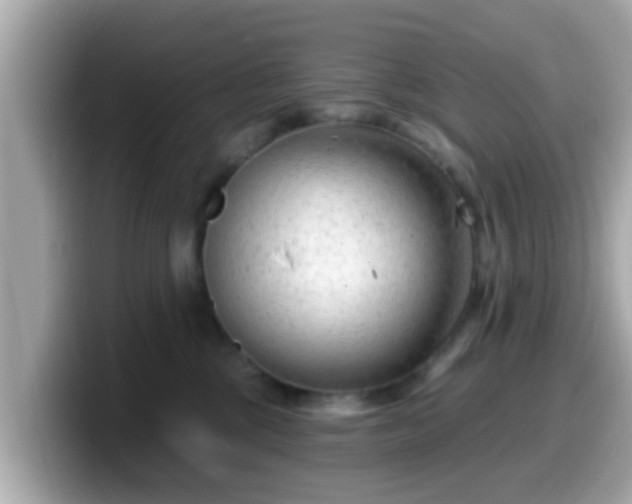 X0000099560377200805231517