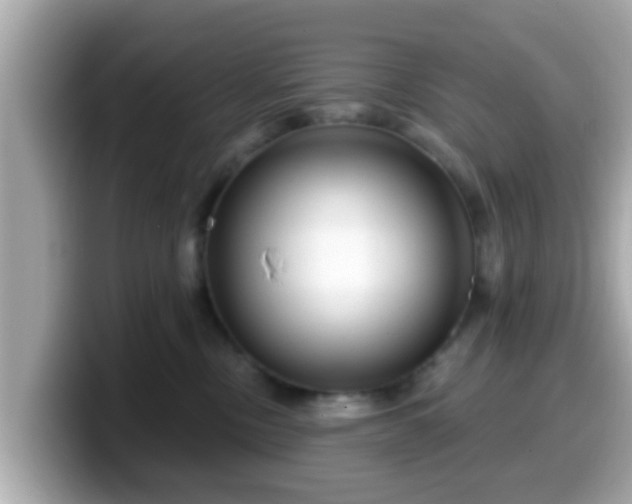 X0000099560378200805231517