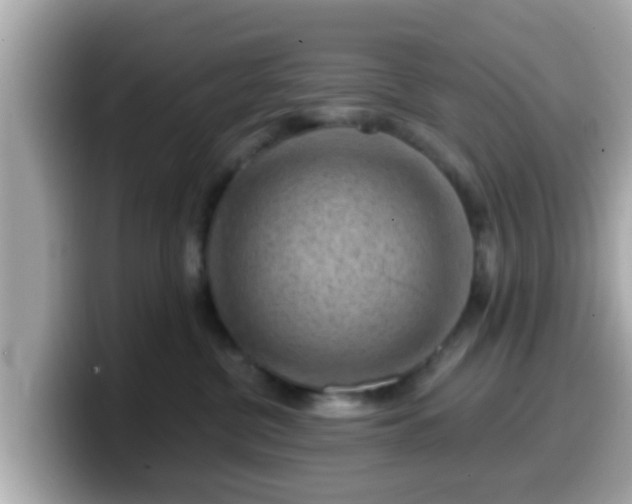 X0000099560380200805231517