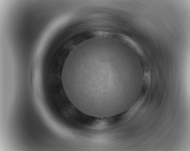 X0000099560381200805231517