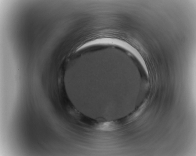 X0000099560382200805231517