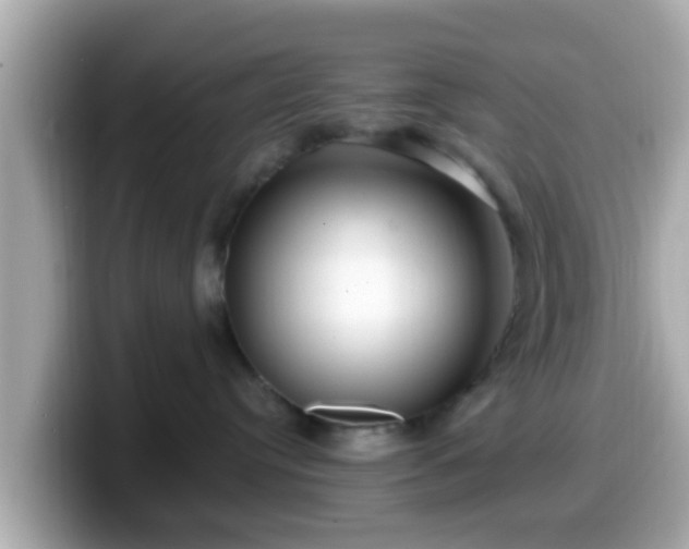 X0000099560384200805231517