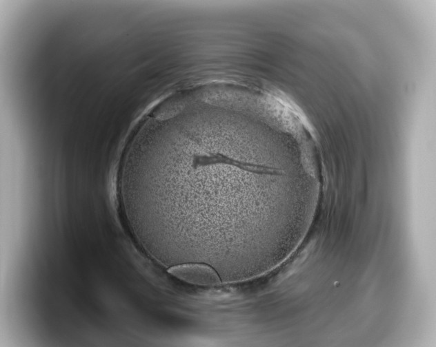 X0000099560386200805231516