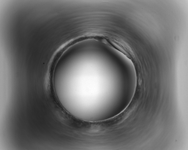 X0000099560388200805231516