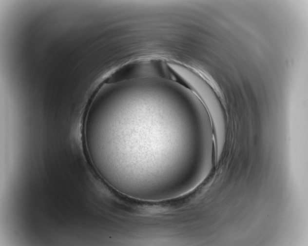 X0000099560389200805231516