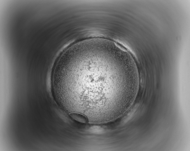 X0000099560390200805231516