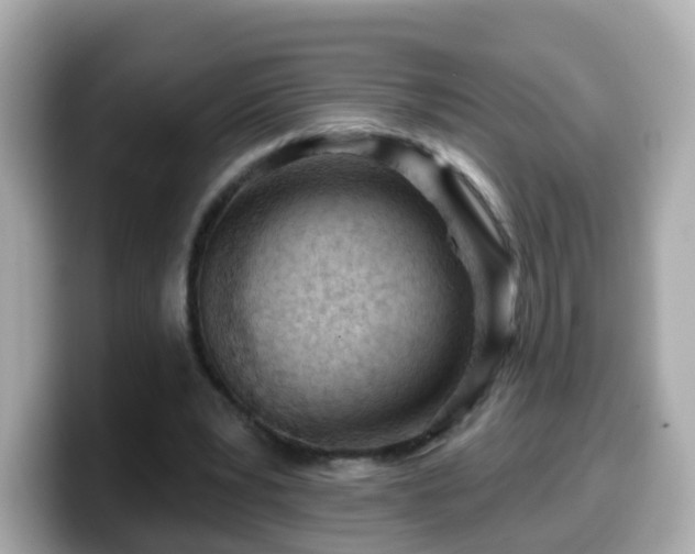 X0000099560391200805231516