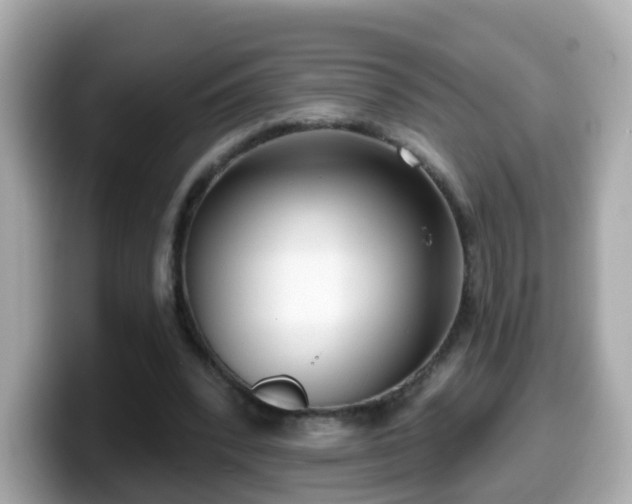 X0000099560392200805231516