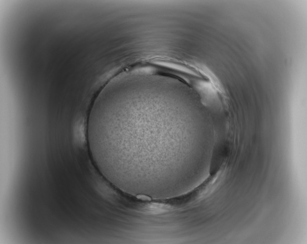 X0000099560393200805231516