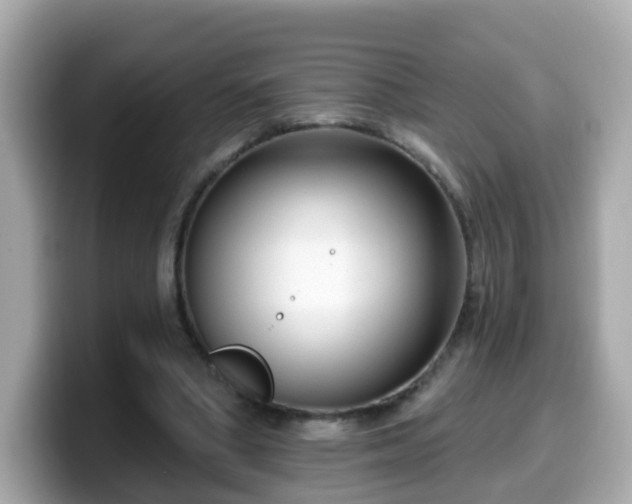 X0000099560394200805231516