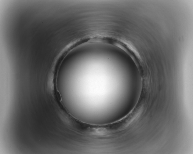 X0000099560395200805231516