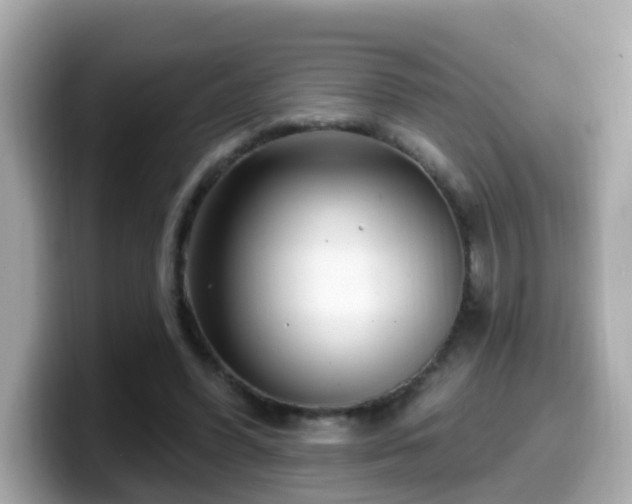 X0000099560396200805231516