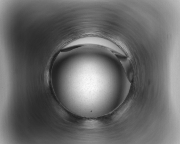 X0000099560397200805231516