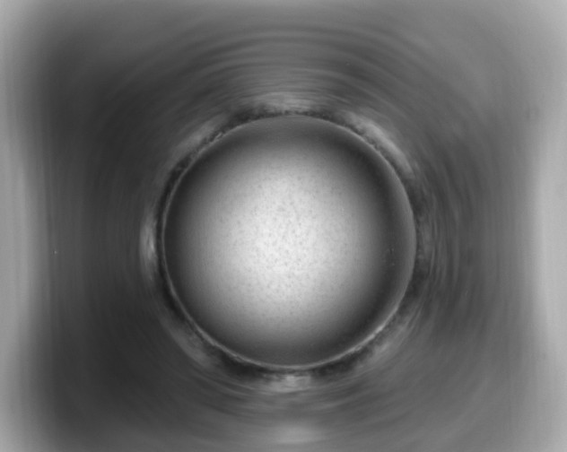 X0000099560398200805231516