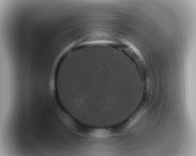 X0000099560399200805231516