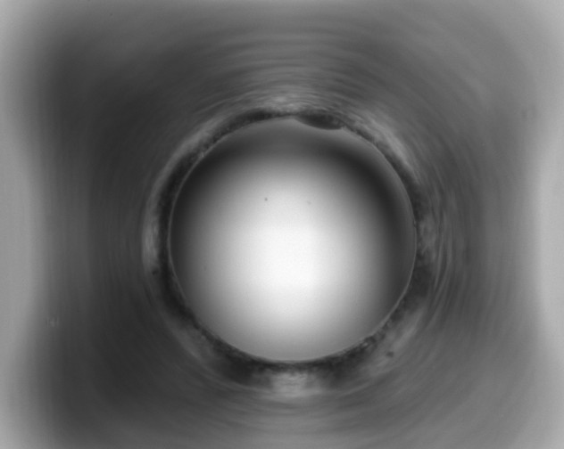 X0000099560400200805231516