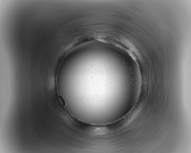 X0000099560401200805231516