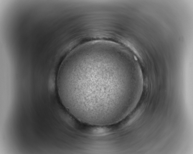 X0000099560402200805231516