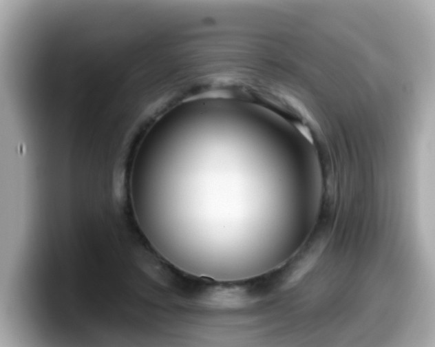 X0000099560403200805231516