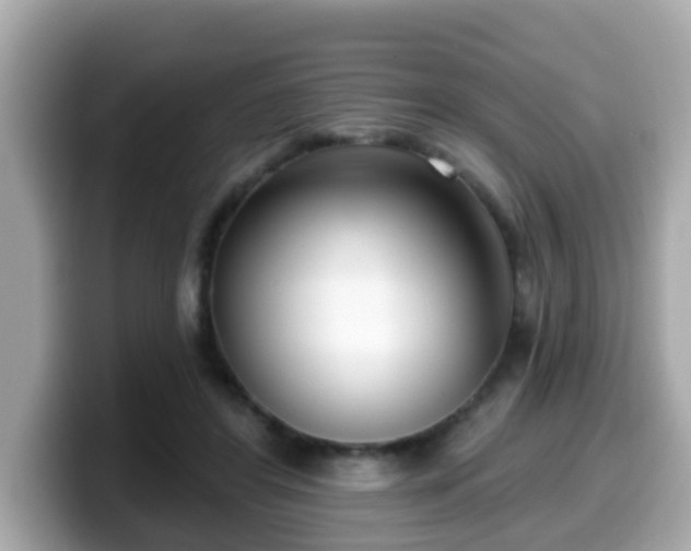 X0000099560404200805231516