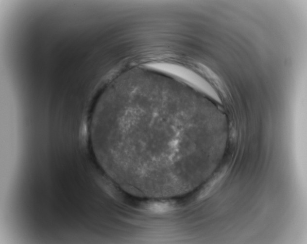 X0000099560405200805231516