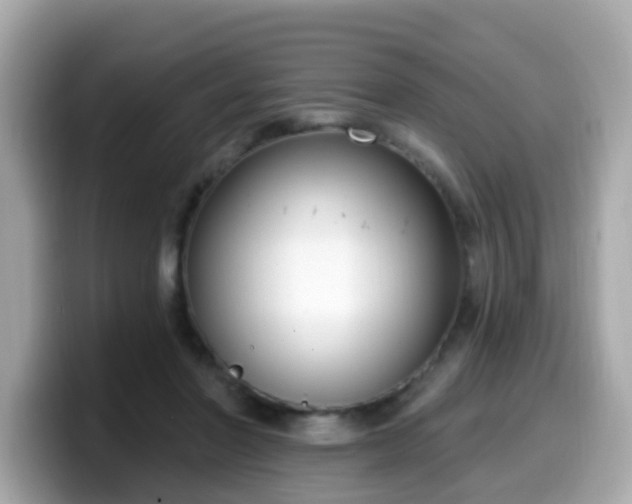 X0000099560406200805231516