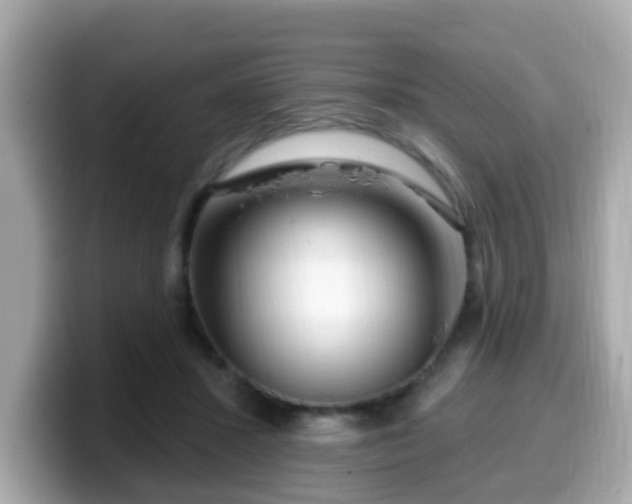 X0000099560407200805231516