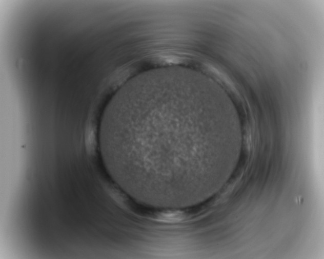 X0000099560410200805231516