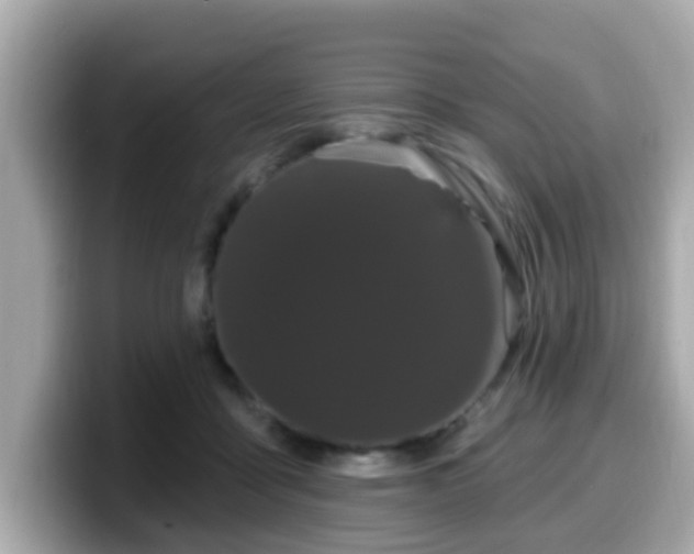 X0000099560411200805231516