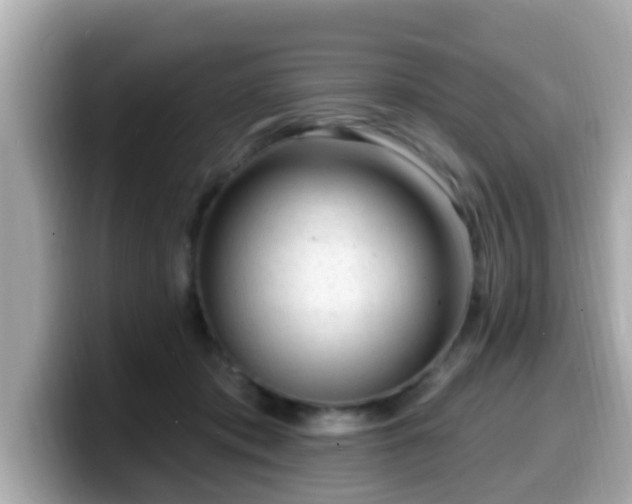 X0000099560413200805231516