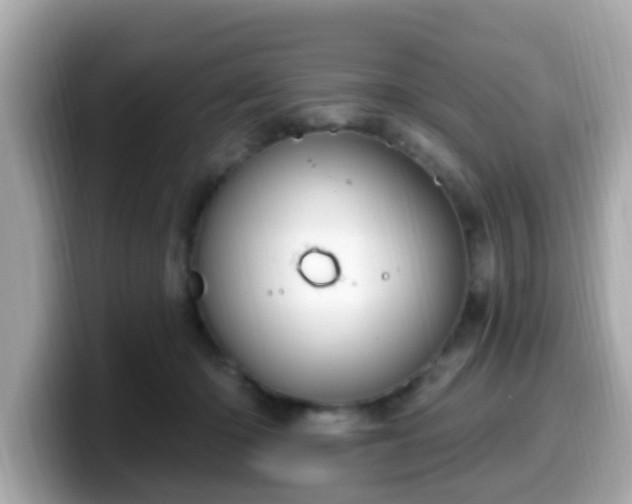 X0000099560414200805231516