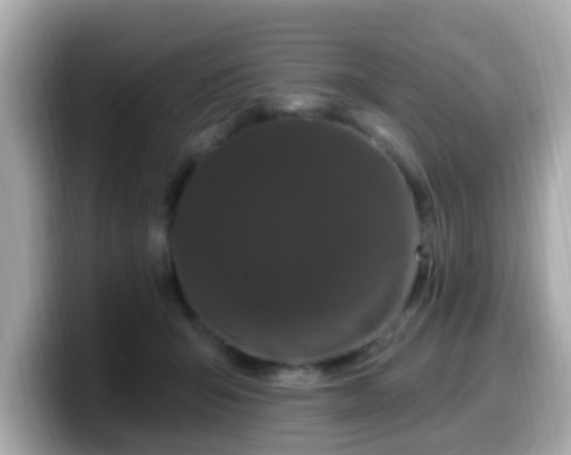 X0000099560415200805231516