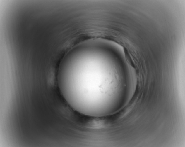 X0000099560416200805231516