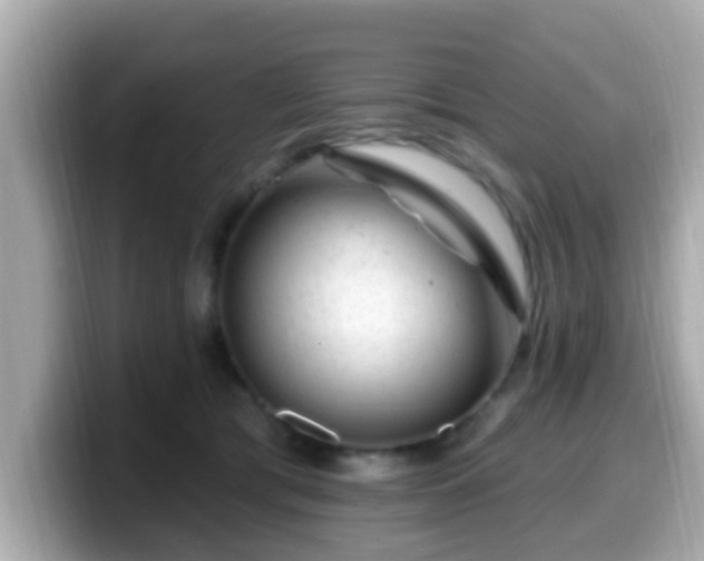 X0000099560417200805231516